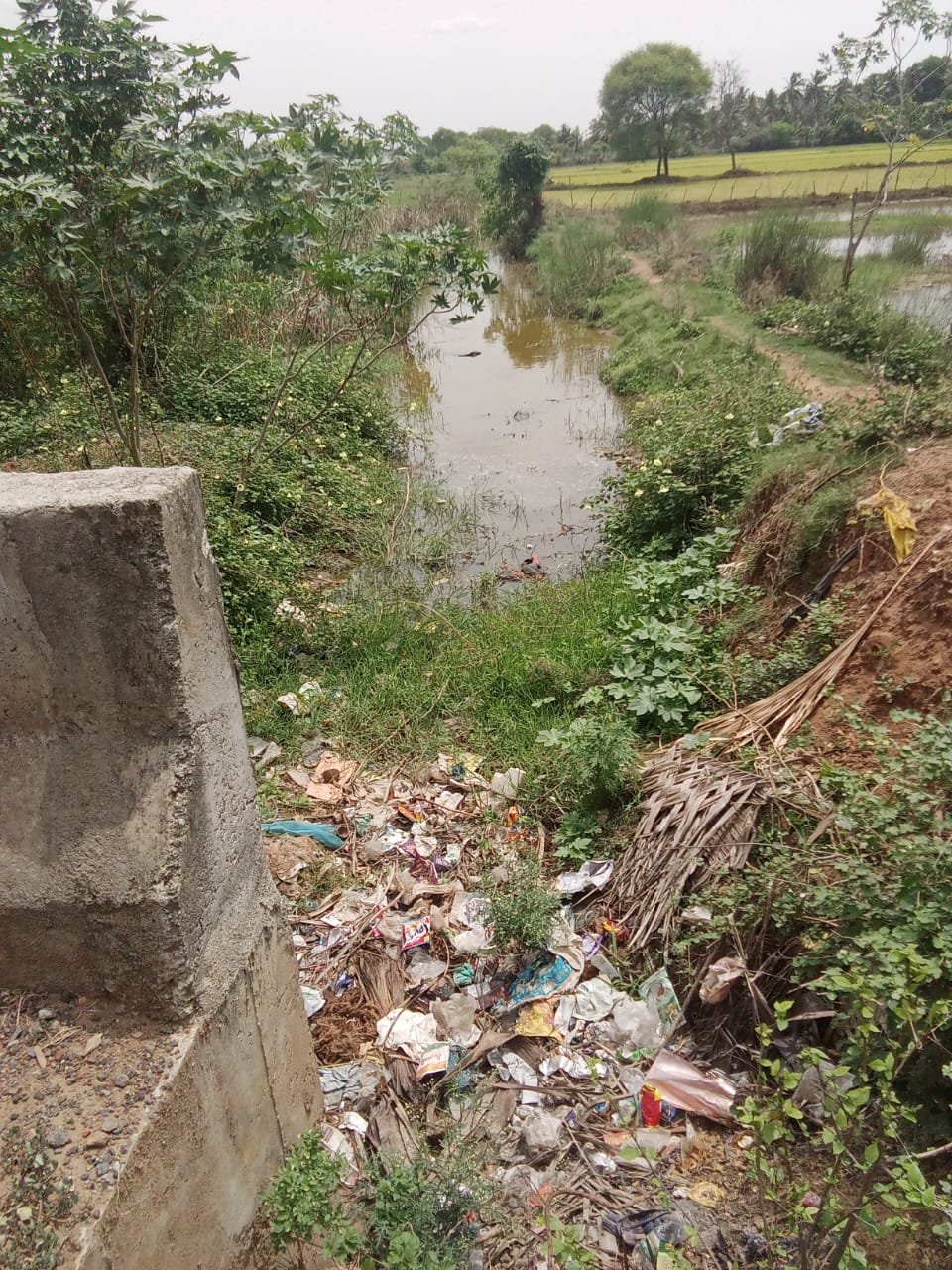 வடிகாலில் குவிந்து கிடக்கும் குப்பைகள்