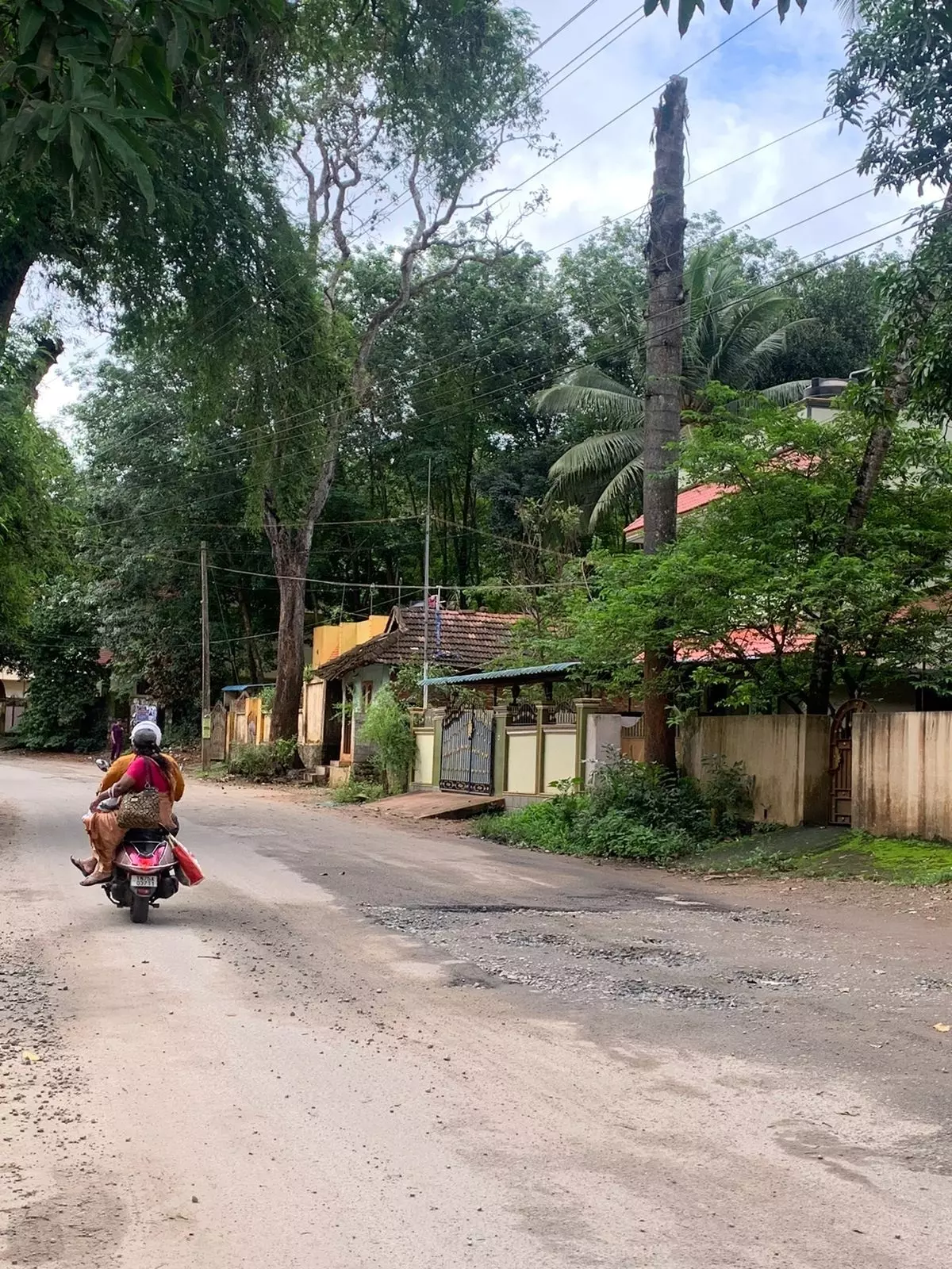 மரத்தை அகற்ற வேண்டும் மரத்தை அகற்ற வேண்டும்