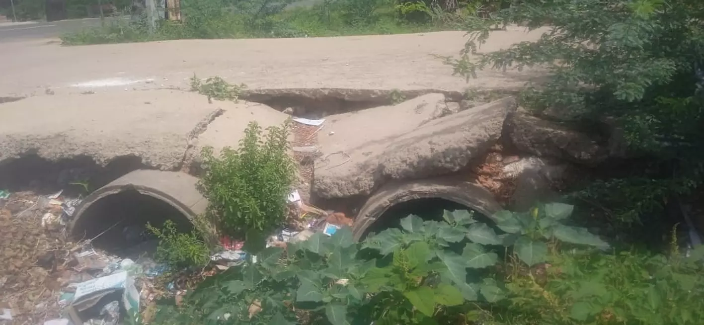 பாலம் சீரமைக்கப்படுமா? பாலம் சீரமைக்கப்படுமா?