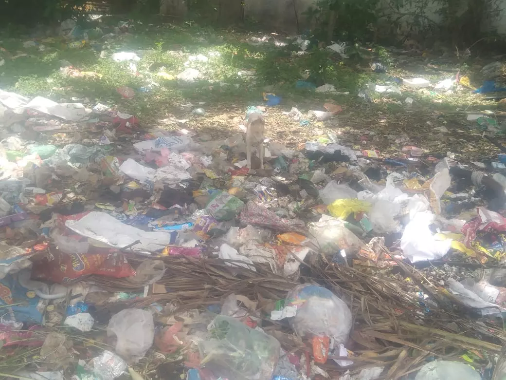 சுகாதார சீர்கேடு சுகாதார சீர்கேடு