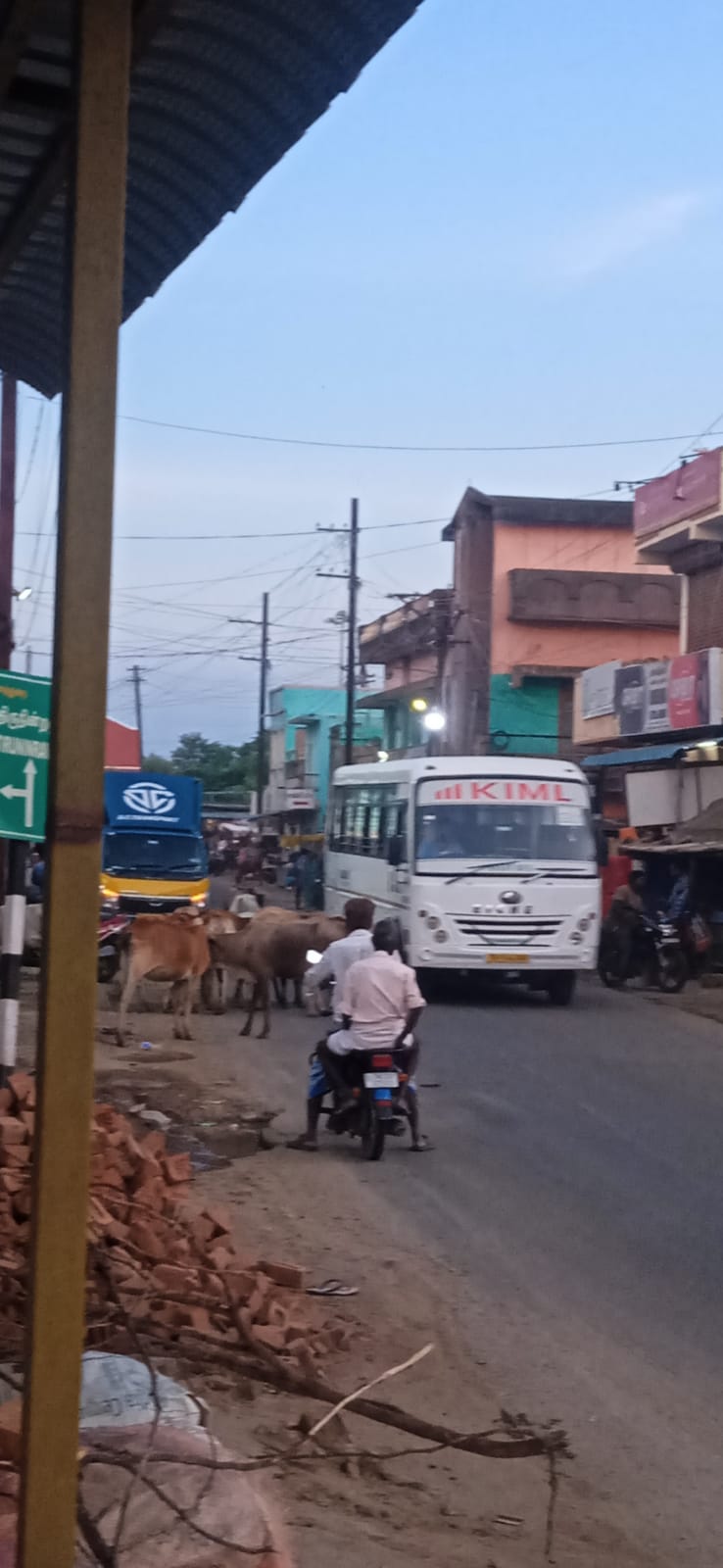சாலையில் அலையும் மாடுகள்