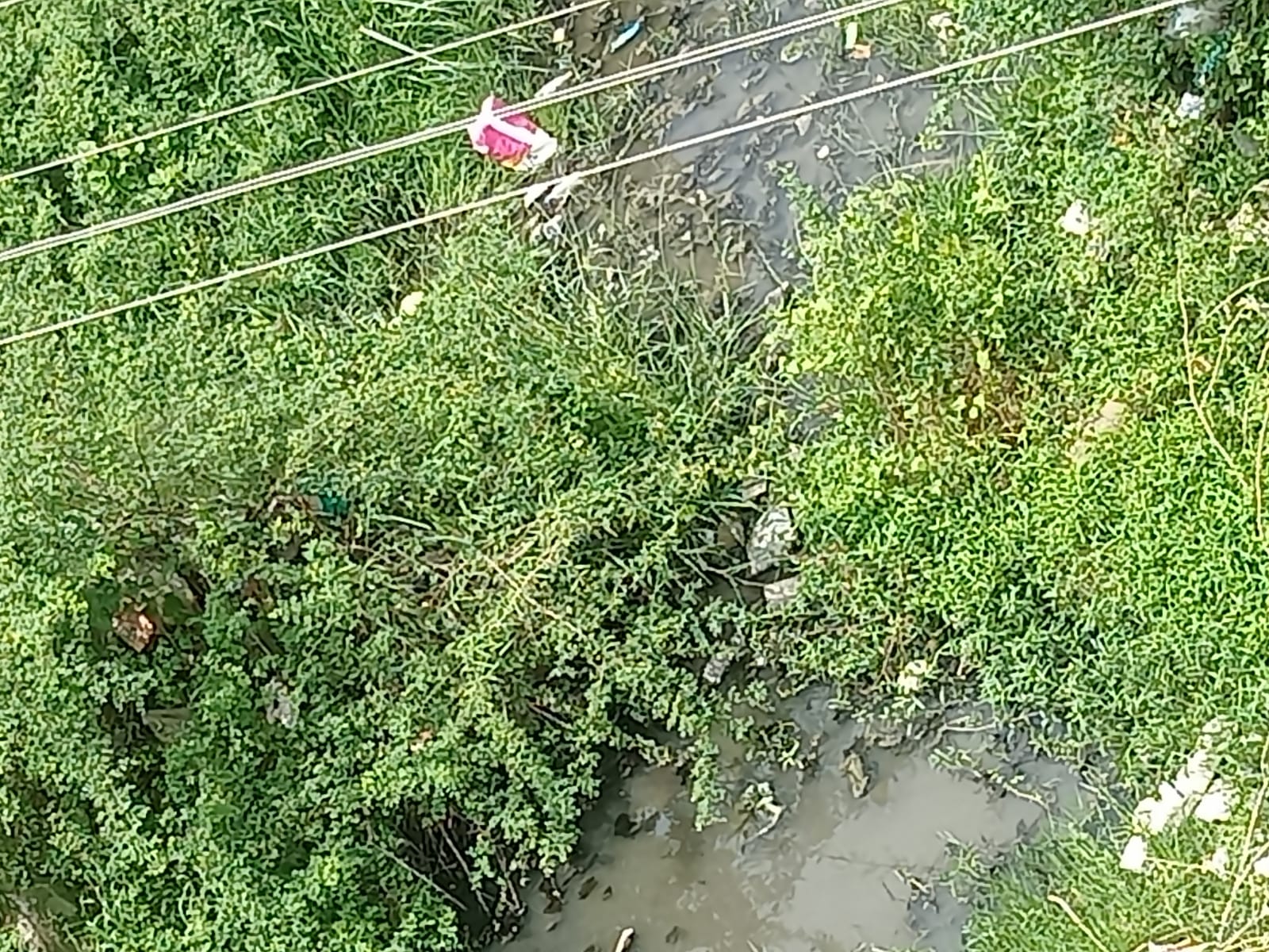 கழிவுநீர் கால்வாய் வேண்டும்