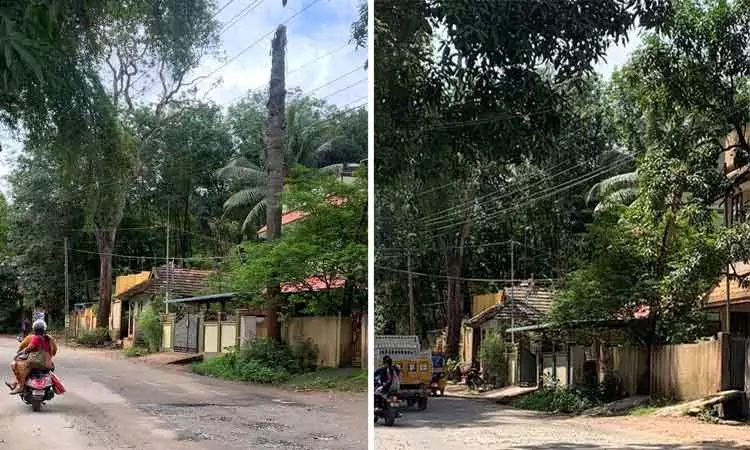 மரம் அகற்றப்பட்டது மரம் அகற்றப்பட்டது