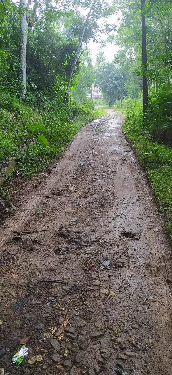 பாதசாரிகள் அவதி பாதசாரிகள் அவதி