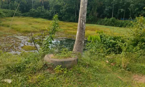 குளத்தை தூர்வார வேண்டும் குளத்தை தூர்வார வேண்டும்