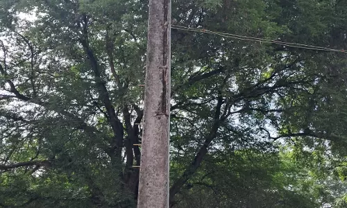 ஆபத்தான மின்கம்பம் ஆபத்தான மின்கம்பம்