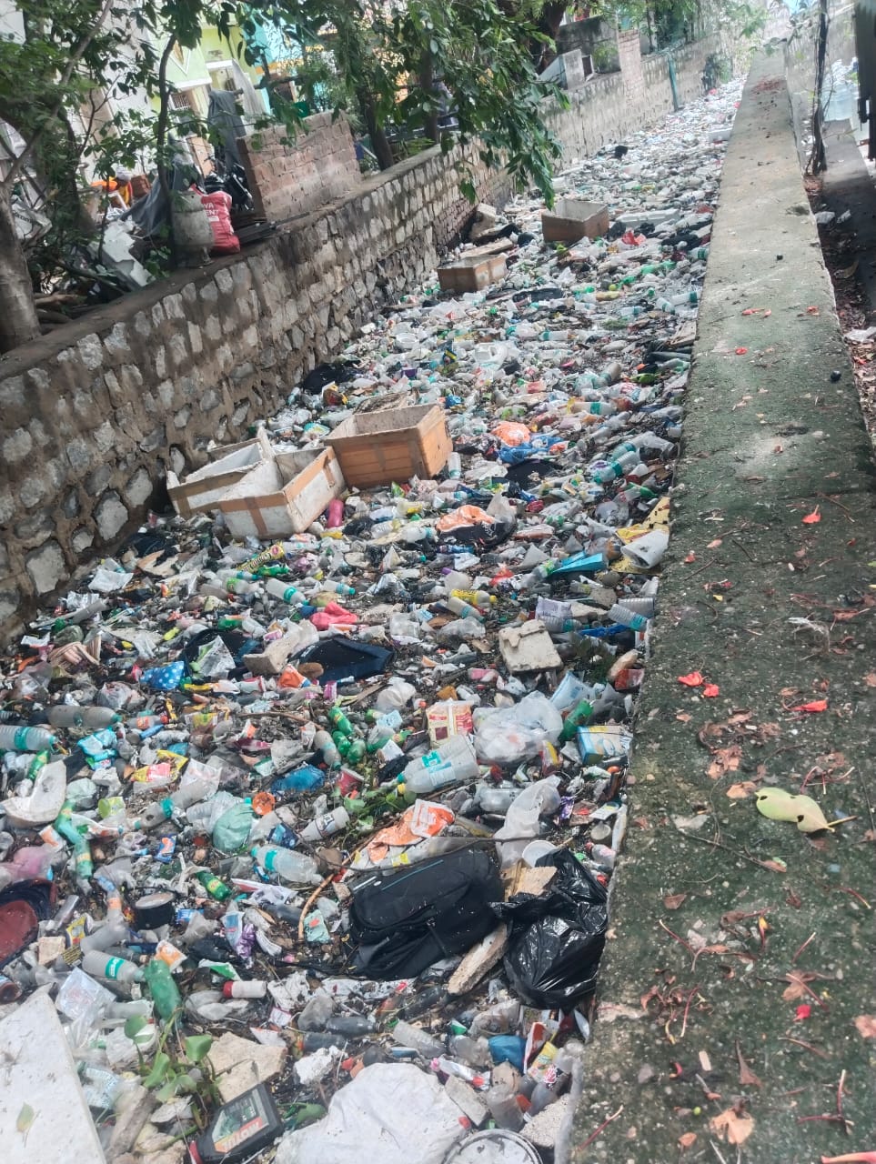 குப்பைகள் அகற்றப்படுமா?