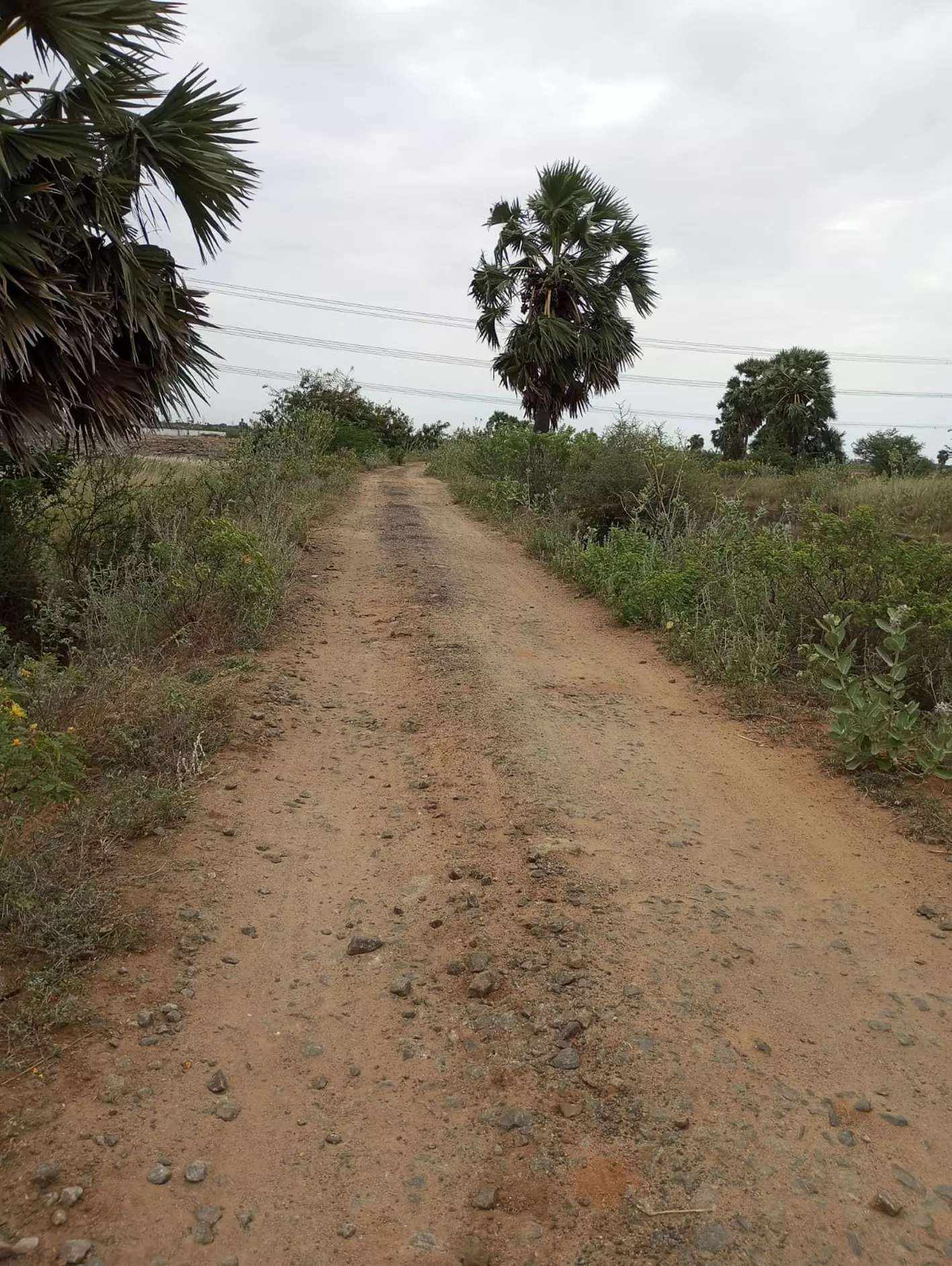 குண்டும், குழியுமான சாலை குண்டும், குழியுமான சாலை