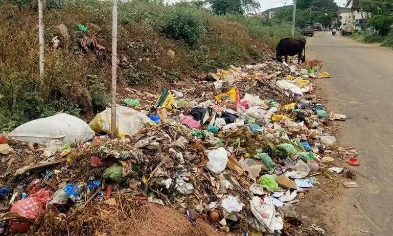 கண்மாய் கரையில் குப்பைகள் கண்மாய் கரையில் குப்பைகள்