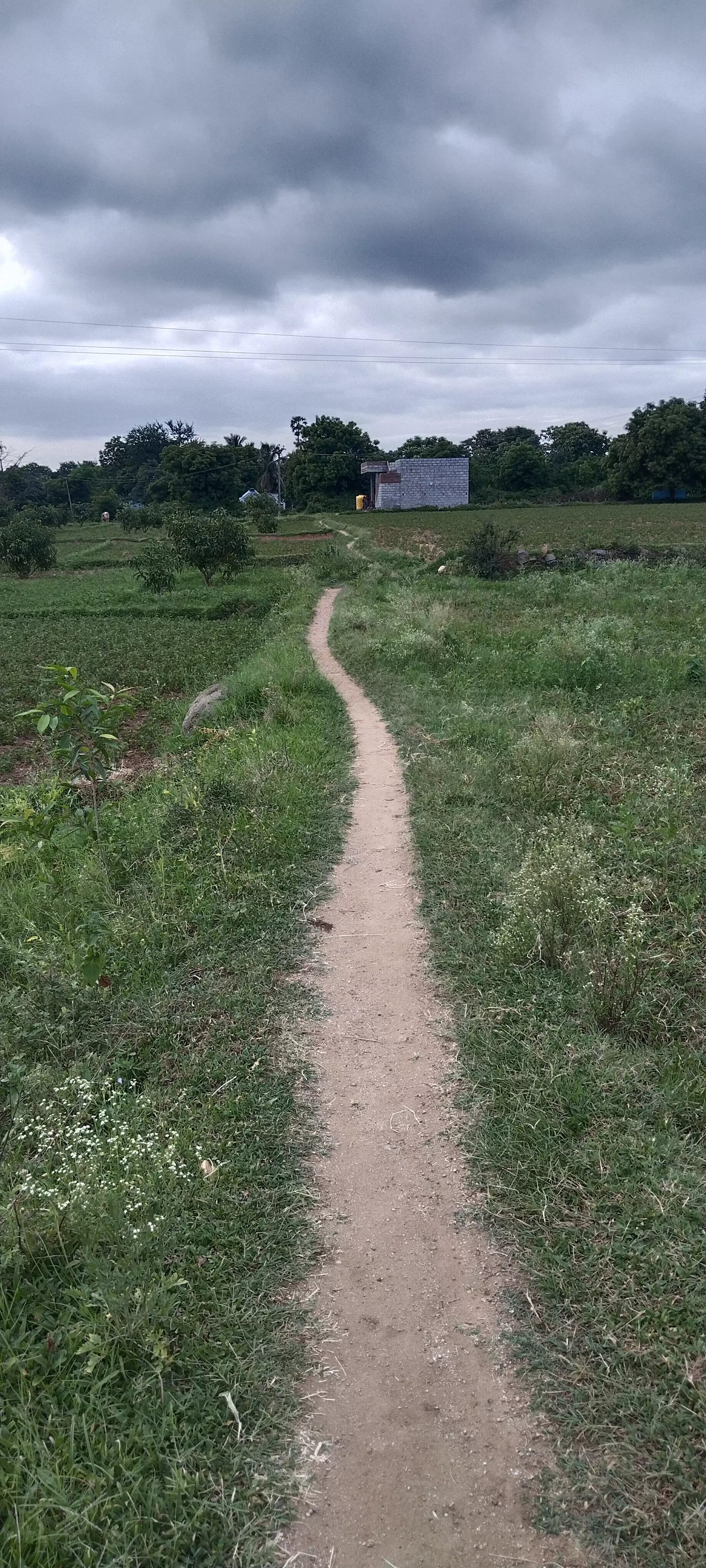 சாலை வசதி செய்து தரப்படுமா? சாலை வசதி செய்து தரப்படுமா?