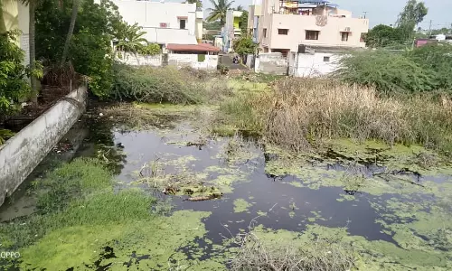 தேங்கி நிற்கும் மழைநீர் தேங்கி நிற்கும் மழைநீர்