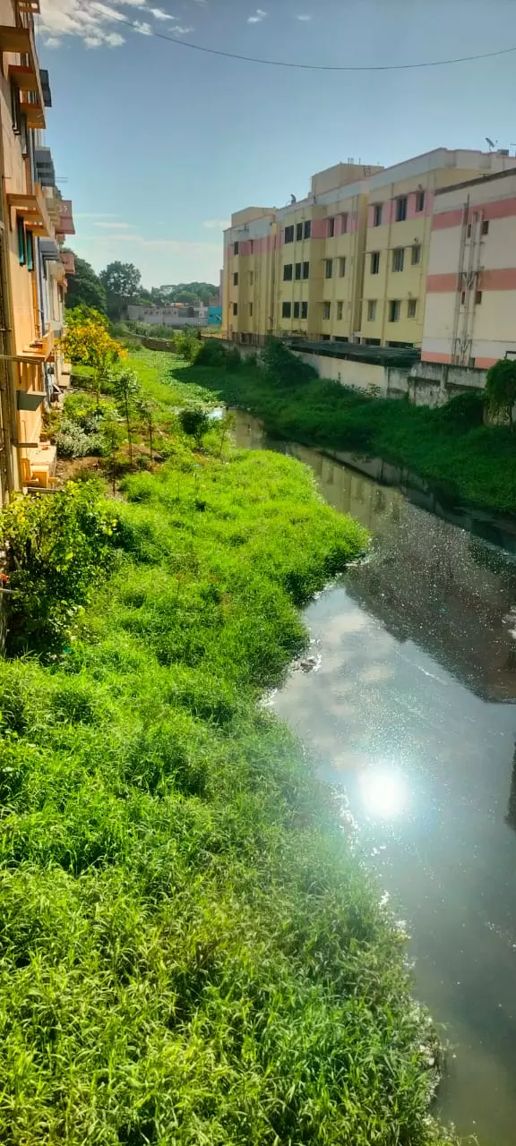 தூர்வாரப்படாத வாய்க்கால் தூர்வாரப்படாத வாய்க்கால்