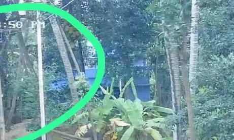 சீரமைக்கப்படுமா?