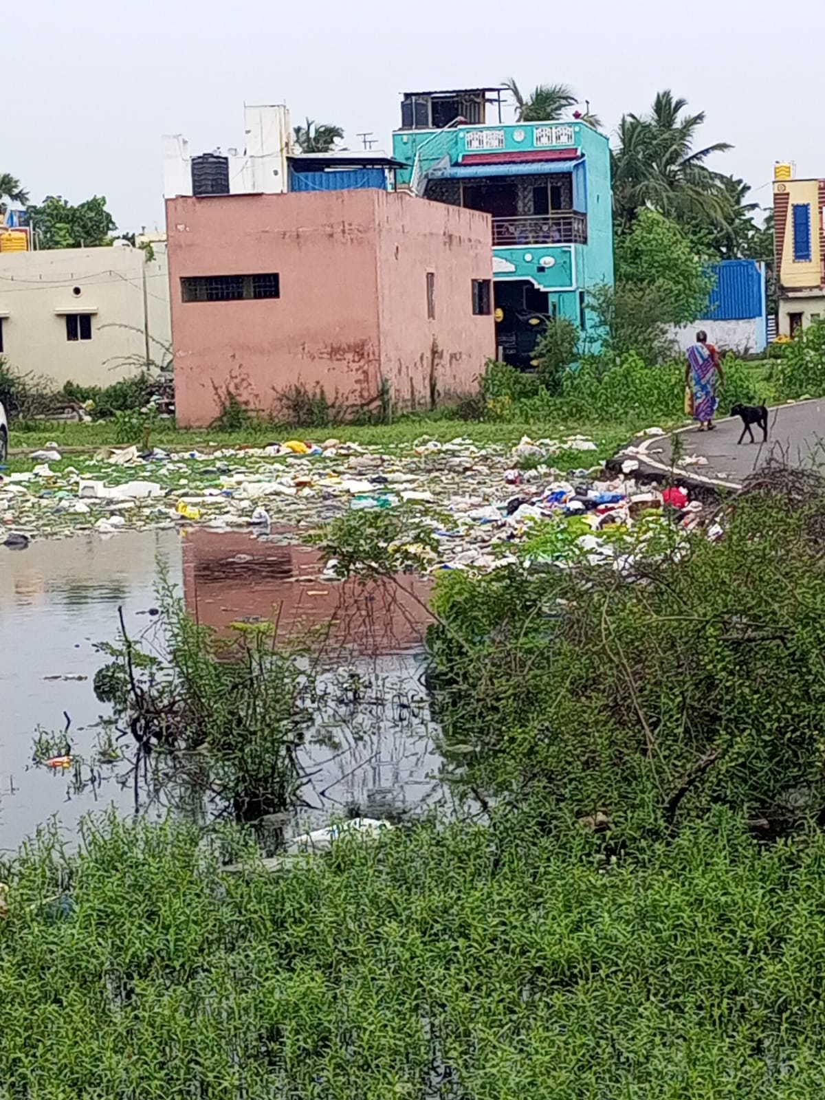 குப்பைகள் அகற்றப்படுமா?