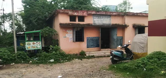 செடிகளை அகற்றுவார்களா? செடிகளை அகற்றுவார்களா?