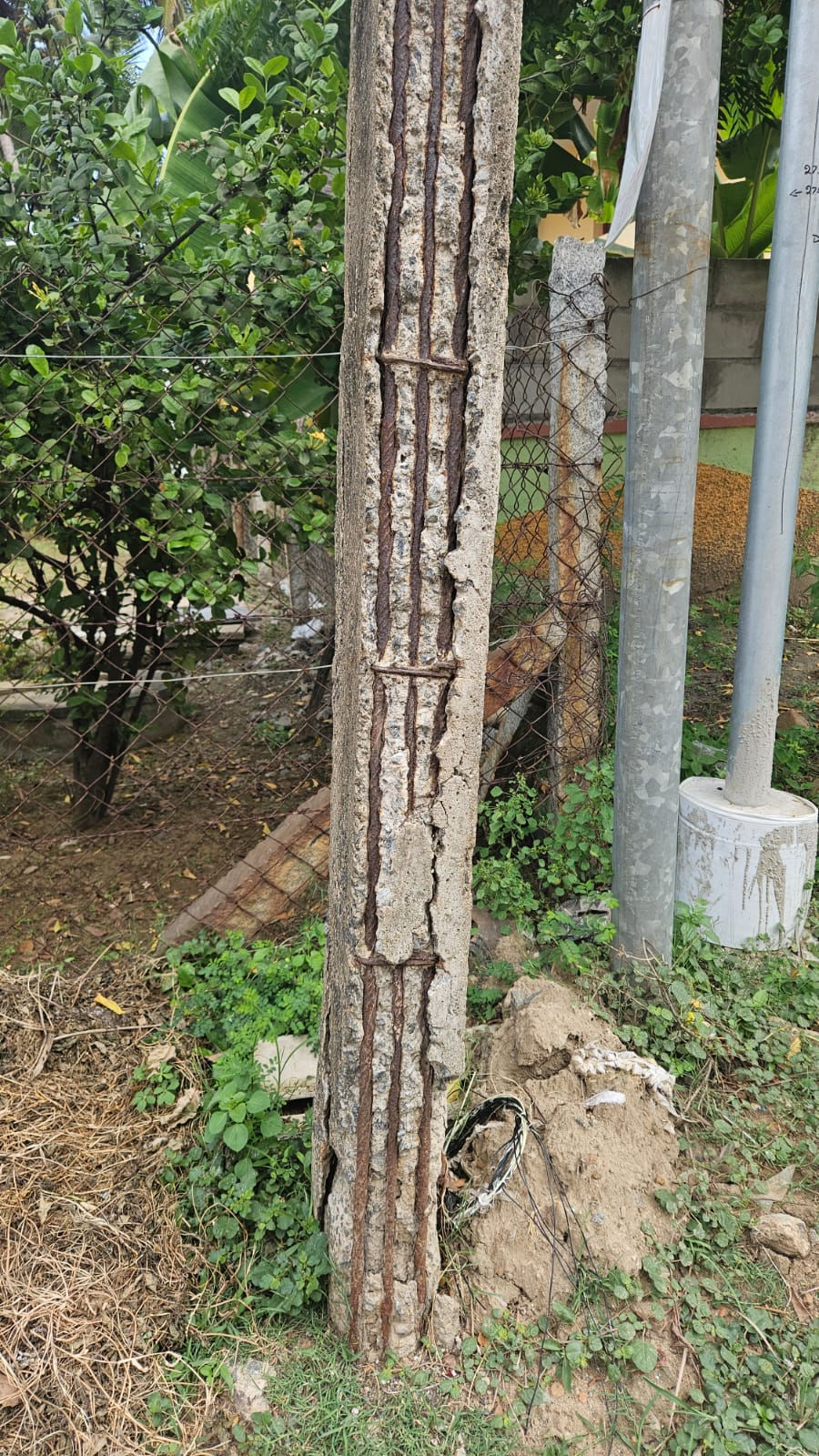 பொதுமக்கள் அச்சம்