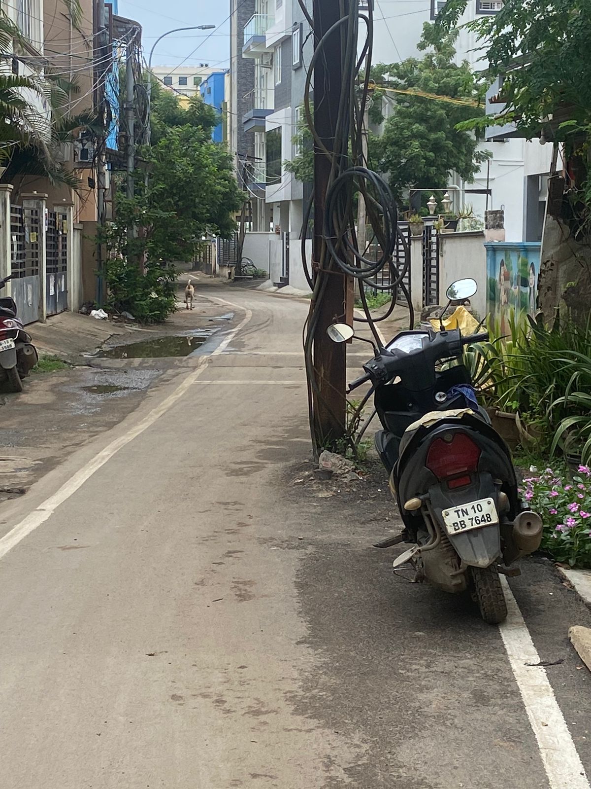 சாலையின் நடுவில் மின்கம்பம்