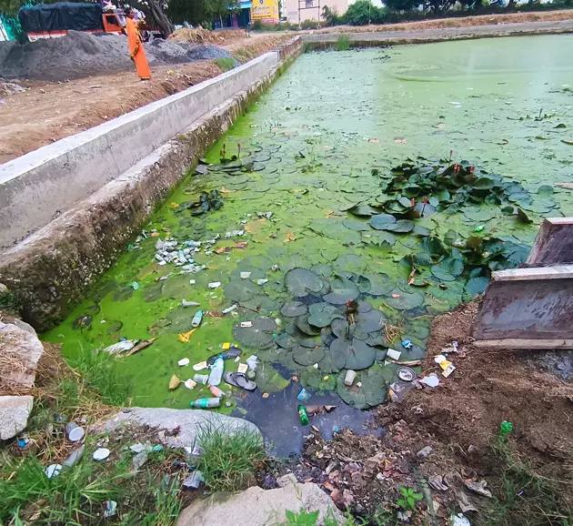 குளத்தில் வீசப்படும் பிளாஸ்டிக் குப்பைகள்