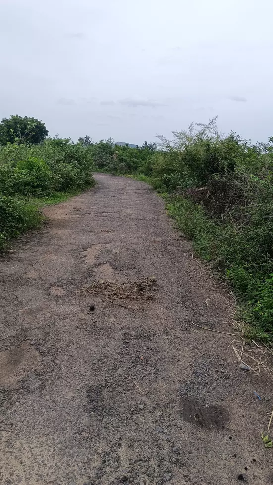 குண்டும், குழியுமான சாலை சீரமைக்கப்படுமா? குண்டும், குழியுமான சாலை சீரமைக்கப்படுமா?