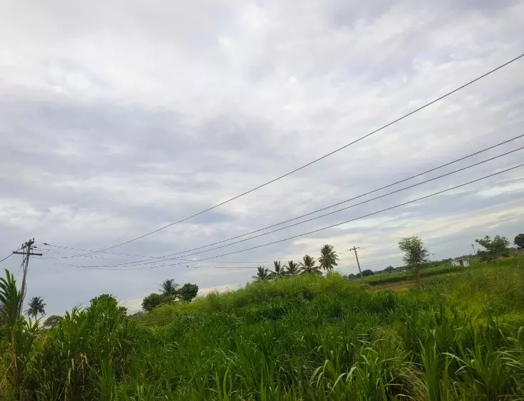 தாழ்வாக செல்லும் மின்கம்பிகள் தாழ்வாக செல்லும் மின்கம்பிகள்