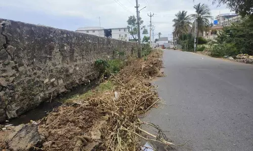 சாலையோரம் குவிந்துள்ள குப்பை