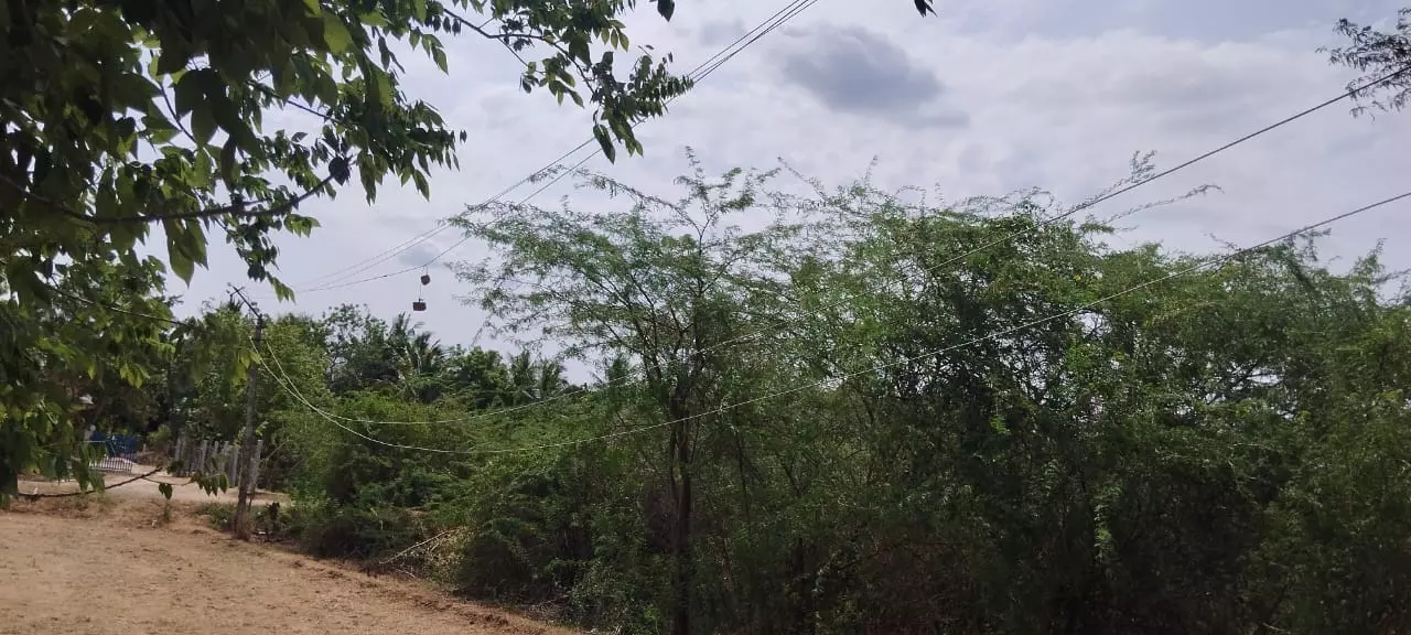 தாழ்வாக செல்லும் மின்கம்பிகள்