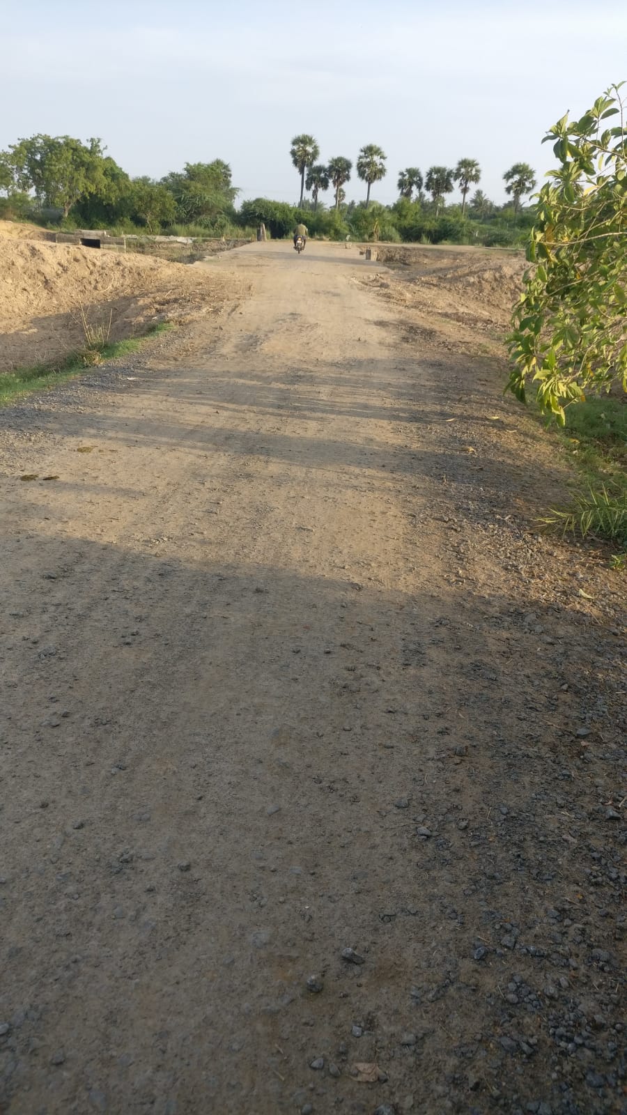 பாலம் அமைக்கப்படுமா?