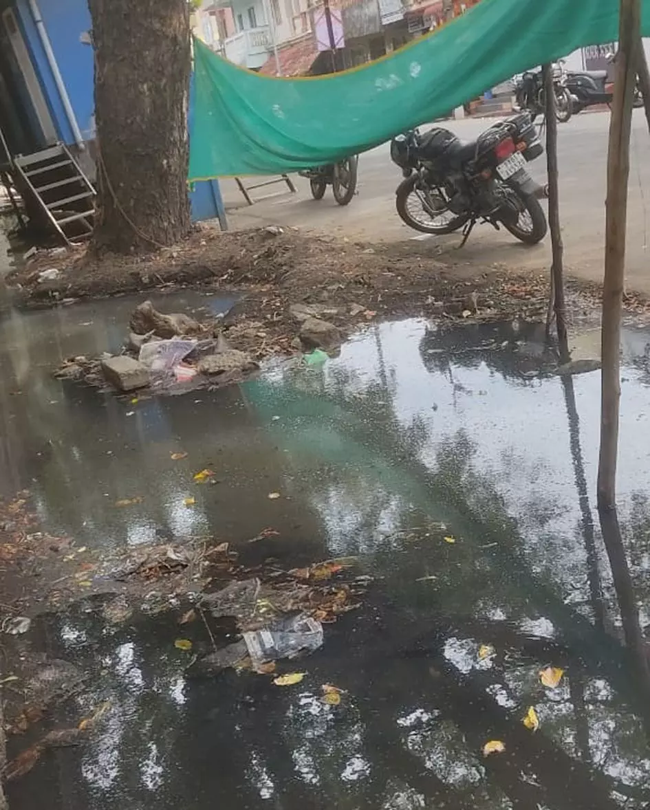 தொற்றுநோய் பரவும் அபாயம் தொற்றுநோய் பரவும் அபாயம்