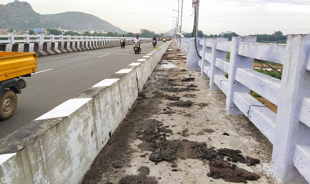மேம்பாலத்தில் சுகாதார சீர்கேடு மேம்பாலத்தில் சுகாதார சீர்கேடு