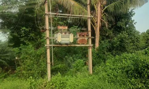 மின்சார டிரான்ஸ்பார்மரை சூழ்ந்த செடிகள் மின்சார டிரான்ஸ்பார்மரை சூழ்ந்த செடிகள்