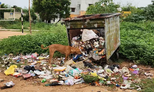 புதிய குப்பைத்தொட்டி வைக்கப்படுமா? புதிய குப்பைத்தொட்டி வைக்கப்படுமா?