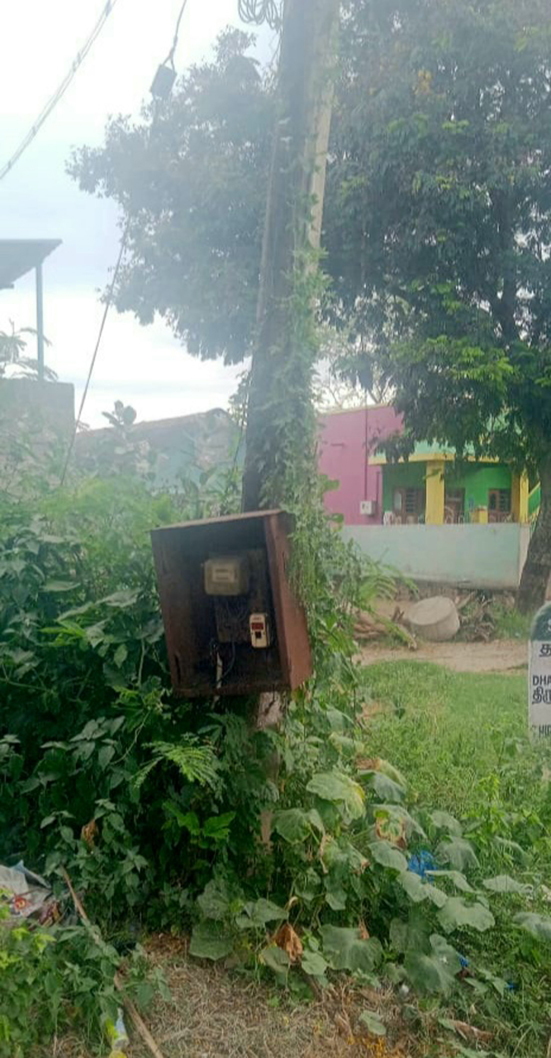 கொடிகள் படர்ந்த மின்கம்பம் கொடிகள் படர்ந்த மின்கம்பம்