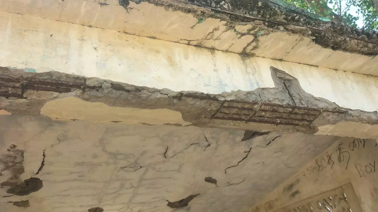 ஆபத்தான பயணிகள் நிழற்குடை ஆபத்தான பயணிகள் நிழற்குடை