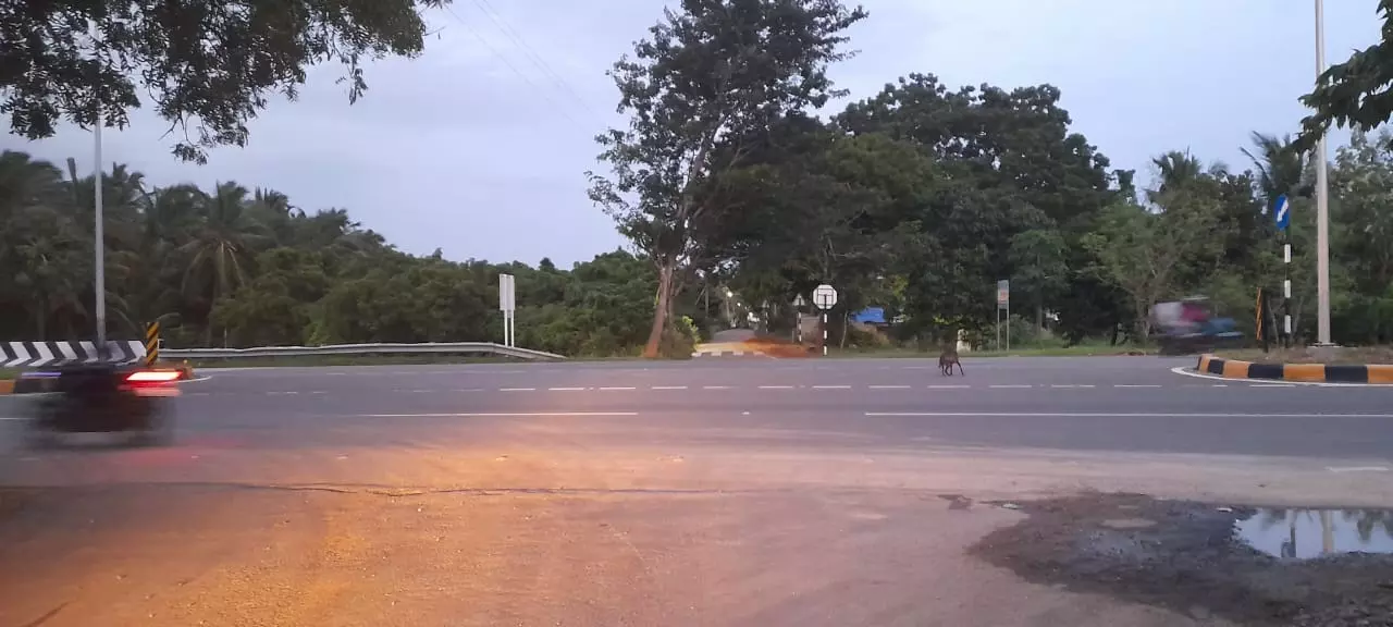 மின்விளக்கு தேவை