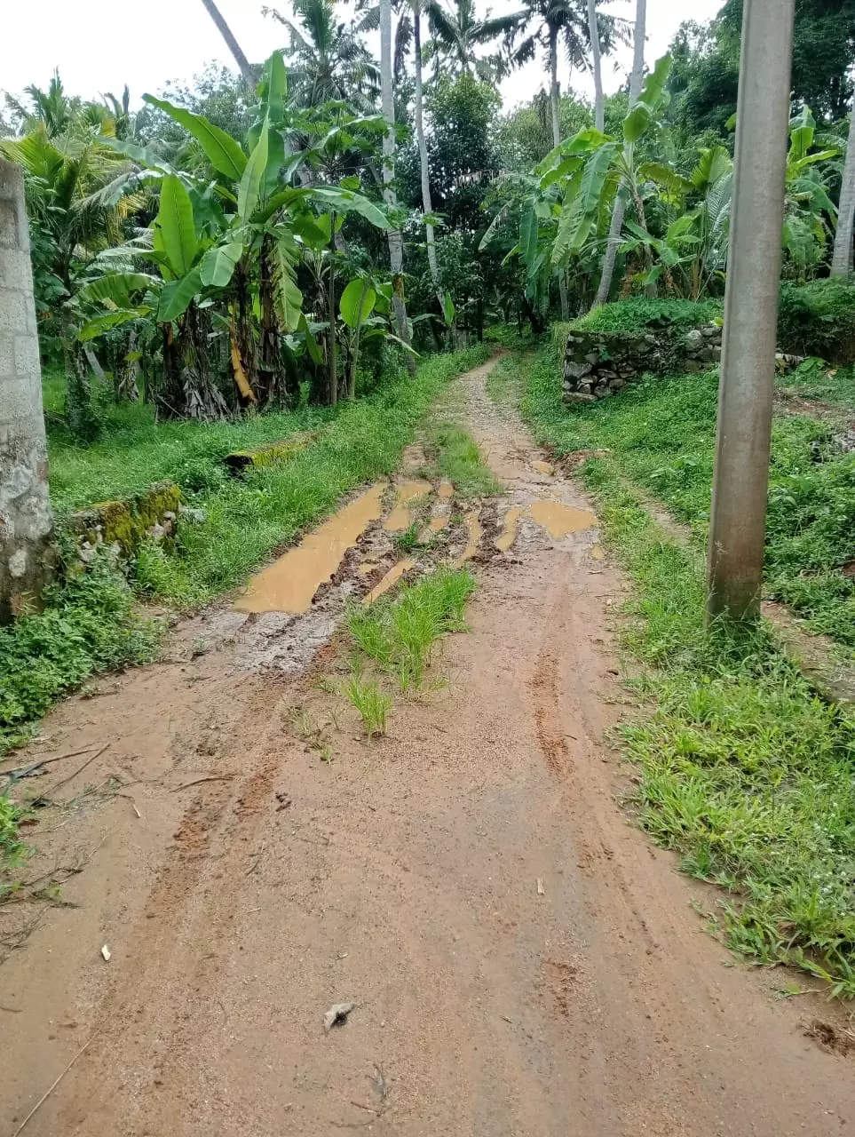 தார்சாலை அமைக்க வேண்டும் தார்சாலை அமைக்க வேண்டும்