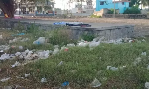 பரவிக்கிடக்கும் பிளாஸ்டிக் பைகள்