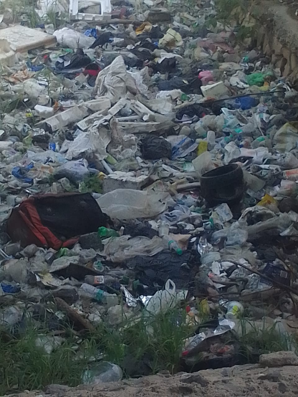 குப்பைகள் அகற்றப்படுமா?