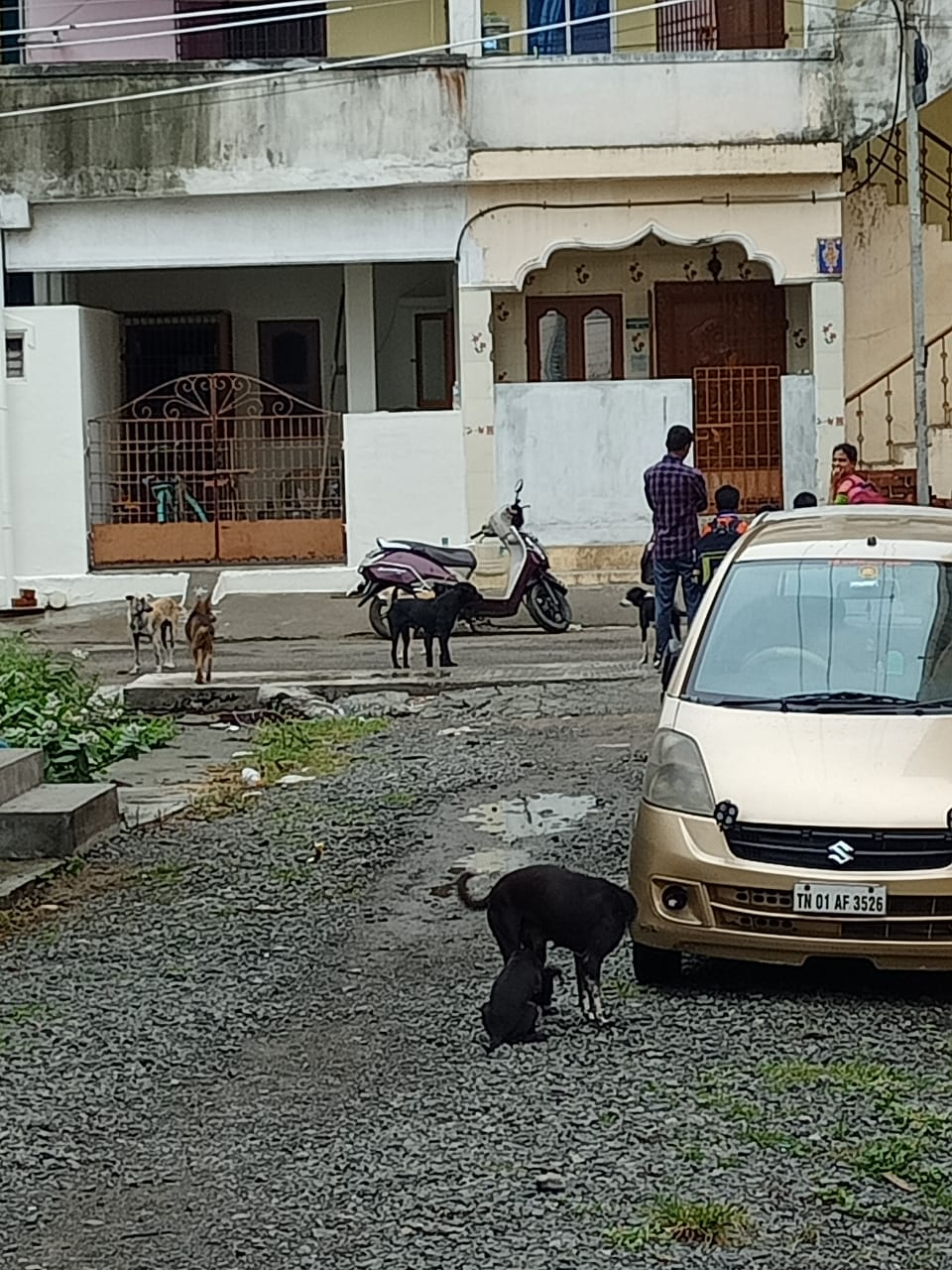 நடவடிக்கை எடுக்கப்படுமா?