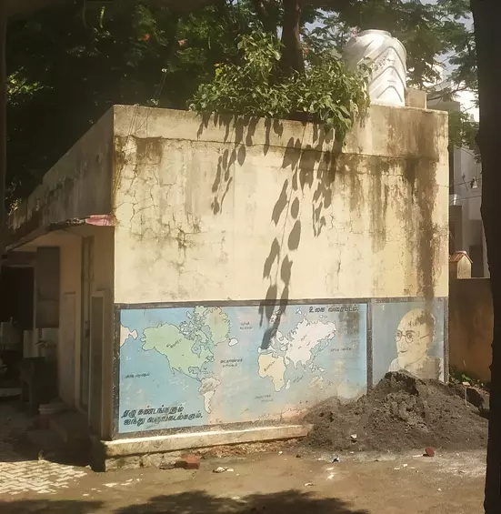 பள்ளி கட்டிடத்தின் மீது வளர்ந்த செடிகள் பள்ளி கட்டிடத்தின் மீது வளர்ந்த செடிகள்