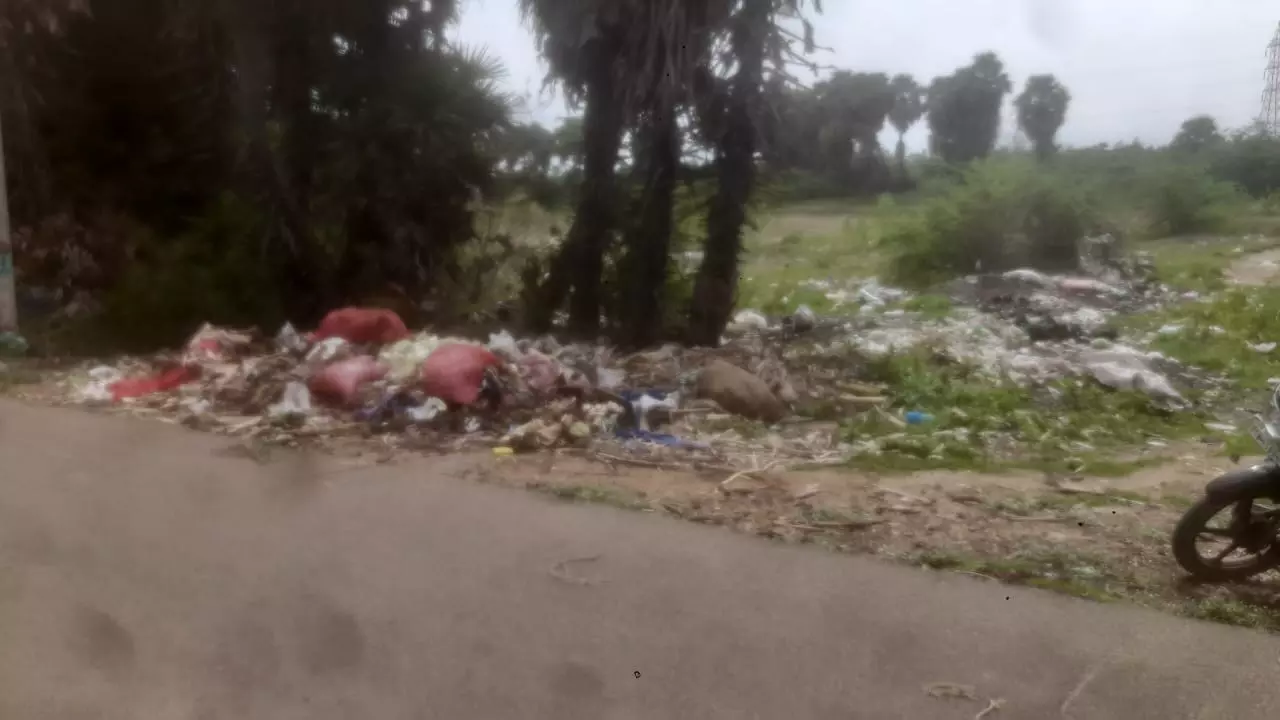 குப்பைகளால் சுகாதார சீர்கேடு குப்பைகளால் சுகாதார சீர்கேடு