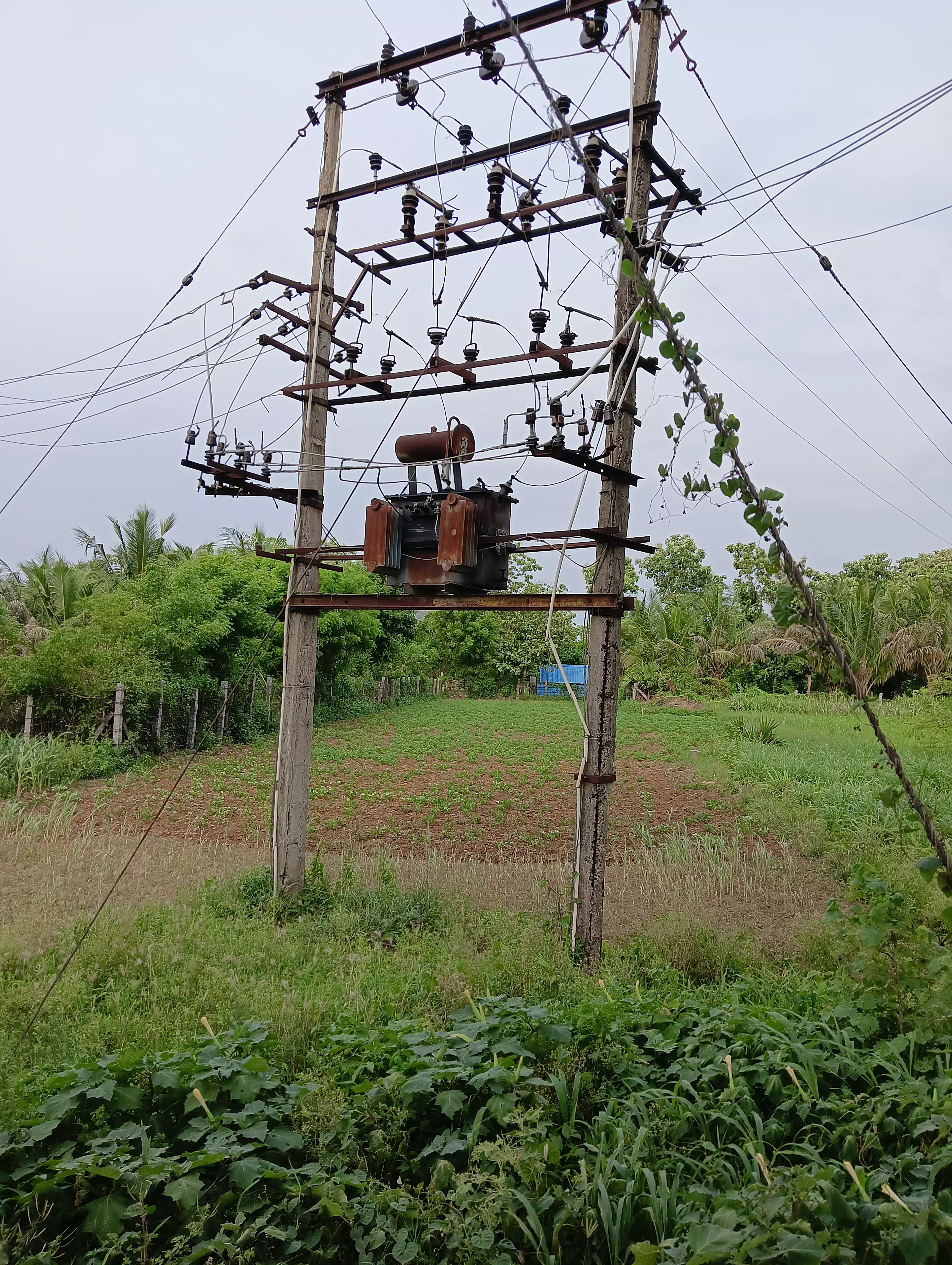 மின்கம்பங்கள் சேதம் மின்கம்பங்கள் சேதம்