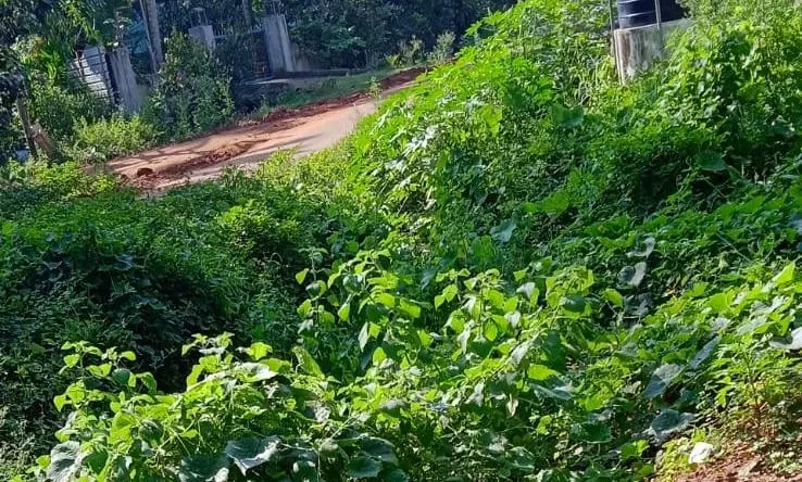 பொதுமக்கள் அச்சம்