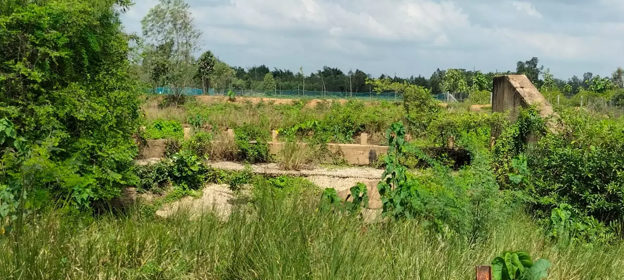 சீரமைக்கப்படாத மதகு