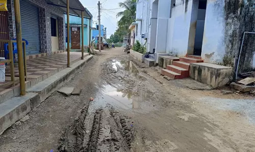 சாலை வசதி ஏற்படுத்தி தருவார்களா? சாலை வசதி ஏற்படுத்தி தருவார்களா?