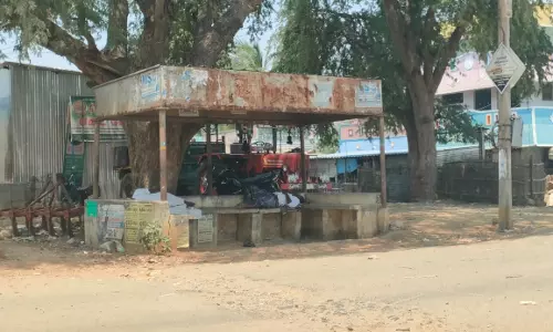 ஆபத்தான பயணிகள் நிழற்குடை ஆபத்தான பயணிகள் நிழற்குடை