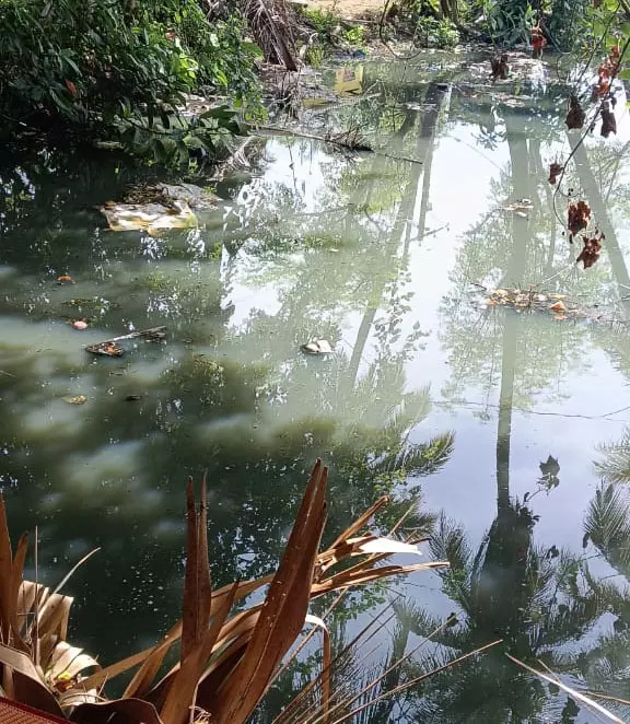 குளத்தில் தேங்கி கிடக்கும் கழிவுநீர்