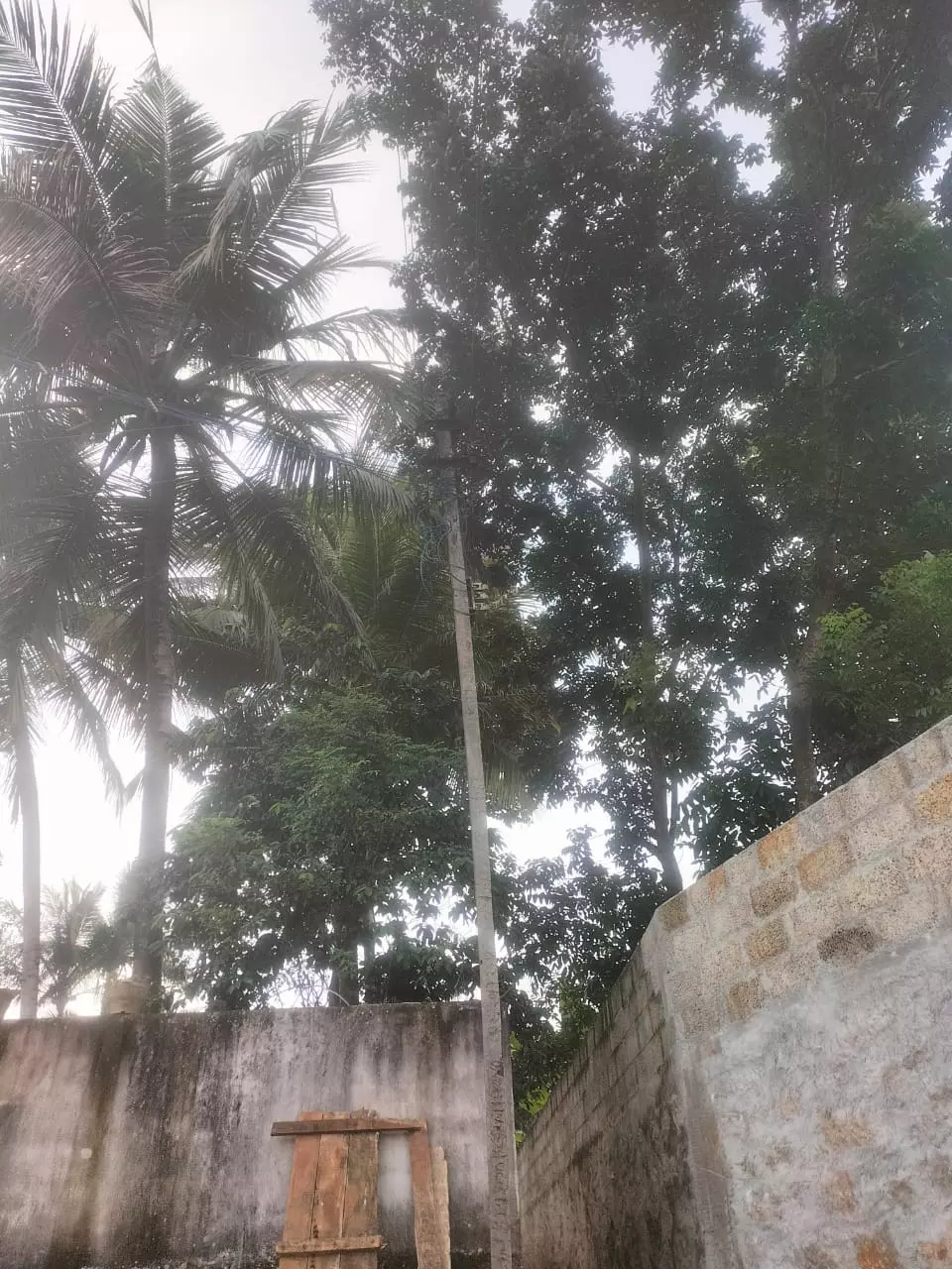 மின்விளக்கு அமைக்கப்படுமா?