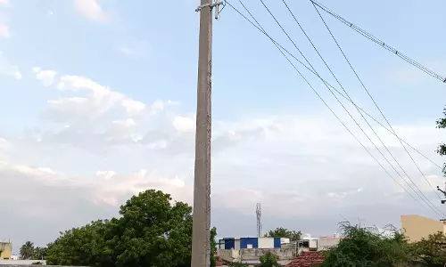 தினத்தந்தி புகார் பெட்டிக்கு நன்றி தினத்தந்தி புகார் பெட்டிக்கு நன்றி