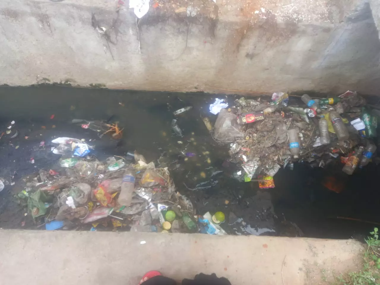 வாய்க்காலில் தேங்கும் பிளாஸ்டிக்க கழிவுகள் வாய்க்காலில் தேங்கும் பிளாஸ்டிக்க கழிவுகள்