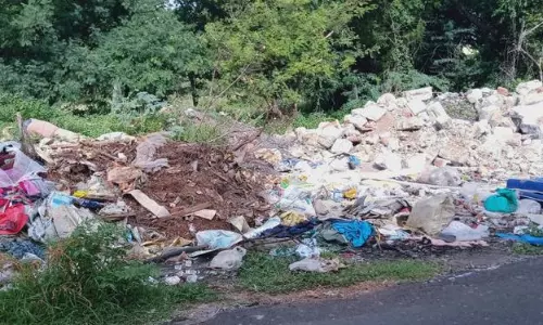 சாலையோரம் கொட்டப்படும் குப்பைகள் சாலையோரம் கொட்டப்படும் குப்பைகள்